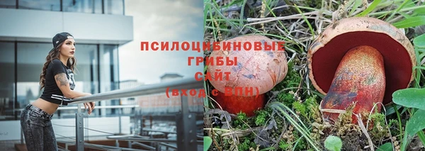 скорость mdpv Елабуга