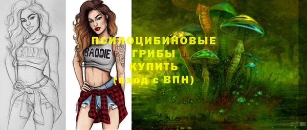 МДПВ Абаза