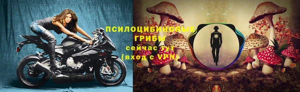 спиды Абдулино
